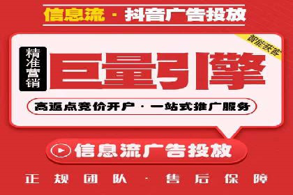 谷歌竞价广告与SEO结合的营销案例解析